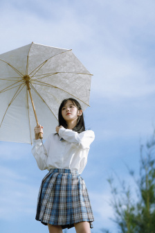 海狼行动电视剧